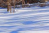 Snow Shadows_32617